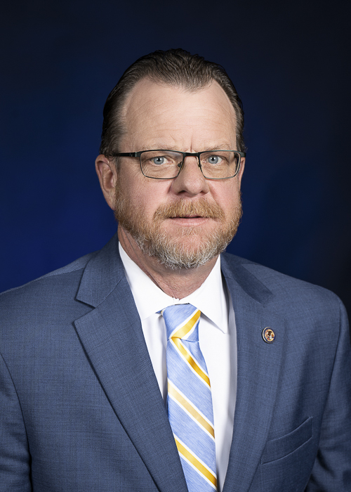 Photograph of Representative  Lawrence "Larry" Walsh, Jr. (D)